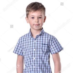 Kashmir Embroidered Dress